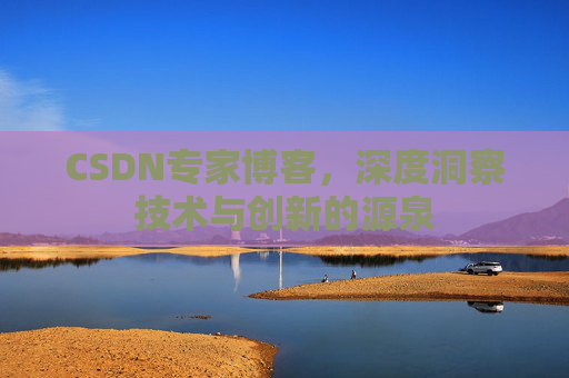 CSDN专家博客，深度洞察技术与创新的源泉